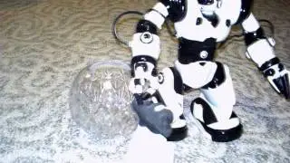 Robo vs Milo