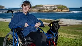 Godric the Genius Assistance Dog