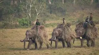 Jklop