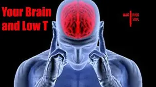 Your Brain and Low T | How Brain Inflammation Causes Low Testosterone