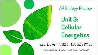 AP Biology Livestream Review for Unit 3 - Cellular Energetics