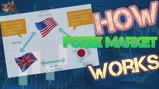 How does the forex market work [ An Explanation ]