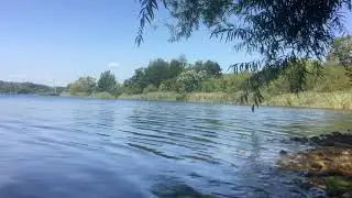 Sitting by Falls Township Park Lake (82 Minutes)