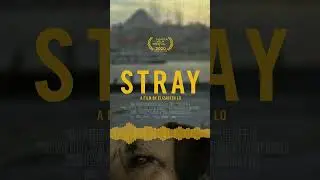 Ali Helnwein - Stray (score clip)