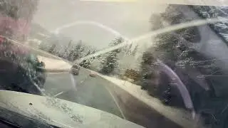 ODOT worker has near-miss with falling tree on I-5