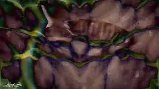 strange WATERVOICES - psychedelic fish movie by luzi illustrella 2024