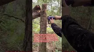 The Ultimate Compact Handheld Electric Chainsaw Power