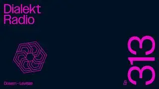 DIALEKT RADIO #313