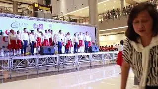 HBA design Chorale 2018