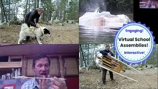 Virtual School Assembly Introduction with Rainforest Assembly Example