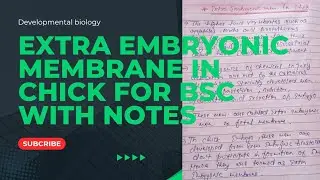 Extra embryonic membrane in chick|yolk sac,amnion,chorion,allantois|for BSC..