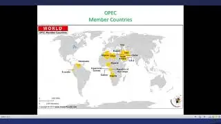 Organization of the Petroleum Exporting Countries (OPEC):  Its Impact on Member Countries