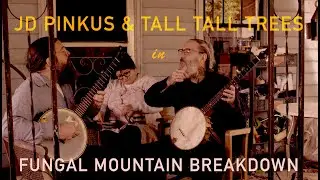 JD PINKUS & TALL TALL TREES - 