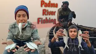Daily Life Fisherman Fishing Jalnet With Padma River 