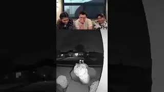 Tom Holland Laughs To Viral Videos Part 38 #celebrityreactions #funnyreactions