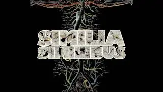 Santos Dumont - All The Colors Of Your Eyes (Similia Similibus)
