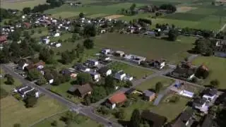 Brederis