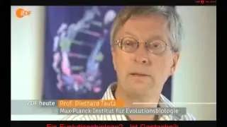 Krebs durch GVO-Mais ZDF-Versionen, EFSA Ver&ouml;ffentlichung, Berichterstattung und Gedanken