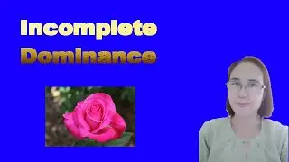 INCOMPLETE DOMINANCE PROBLEM SOLVING USING A PUNNETT SQUARE