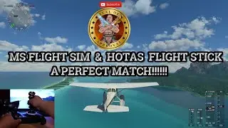 MS FLIGHT SIM HOTAS FLIGHT STICK SETTINGS THIS CONTROLLER IS A MUST!!!!!!