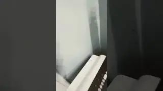 mosquito 🦟