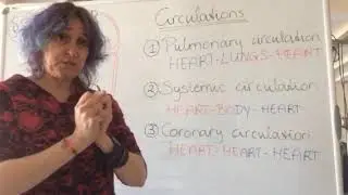 Circulatory System - Circulations