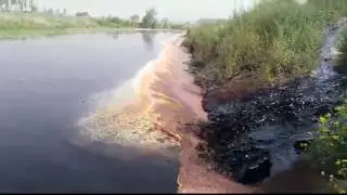 Beas River Tragedy