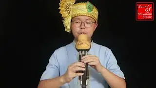 Concert Grade Chinese Gourd Flute Bamboo Hulusi Instrument 葫芦丝