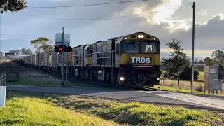 TasRail TR06 TR03 TR08 #31 train crossing Bishopsbourne Road