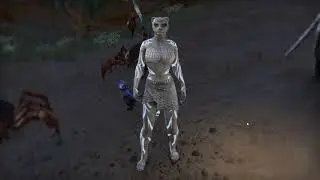 ESO Capture Test 1, FRAPS 60fps, Transcoded NVENC H.265