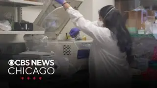 Virus may be trigger for Parkinson's disease, Northwestern Medicine researchers find