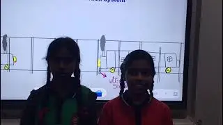 Train accident prevention system