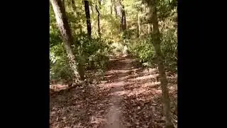 Biking on the San Felasco Trail #biking #trails #stateparks 