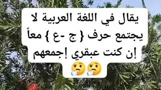 بدأت قناة 