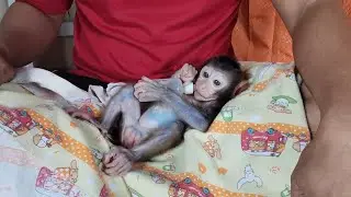 Very angry baby monkey boni😘🥰😍