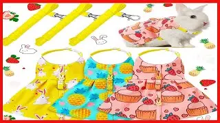 Quality product -  3 Piece Cute Rabbit Leash and Harness Set, Bunny Rabbit Dress Clothes Walking Har