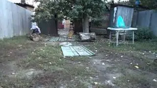 MOV00749