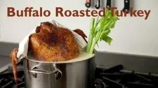 Crazy Dancing Turkey - Musical Video Recipes Thanksgiving Special