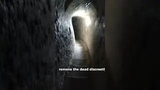 They entered the death tunnel only one came out #horror #paranormal #scary #usa #uk #canada