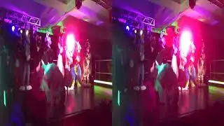 Capital City Fur Con 2020 Dance Competition IV 3D