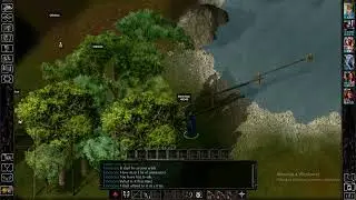 Baldur's Gate 1 Enhanced Edition (Story Mode) - 68. Ulgoth's Beard