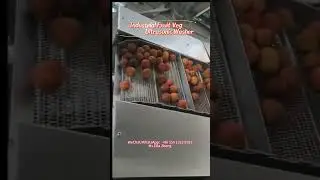 The Future of Fruit Washing? Industrial Ultrasonic Batch Cleaning Revealed#ultrasoniccleaning#fruit