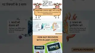 3 Powerful Steps to Recover Cattle Gut Health | APPILAX POWDER Works Fast |#akharvzoocare #appilax