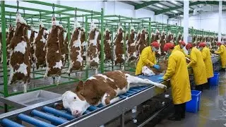 Inside the Calfskin Factory   How Million Dollar Products Are Made from Calfskin Full Process