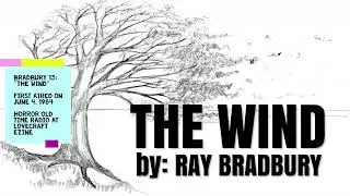 🌪️ BRADBURY 13: 