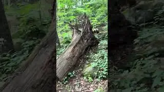 Hiking in an Awesome Park w/ Picturesque Trails! 🌄⛰️🏞️