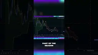 $APECOIN Price History and Macro-Analysis