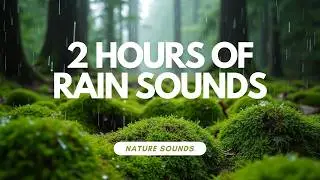 Unwind with 2+ Hours of Calming Hammering Rain Sounds for Sleep