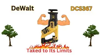 Time for a chainsaw? | I took my DeWalt DCS367 to its limits | Should you buy this instead?