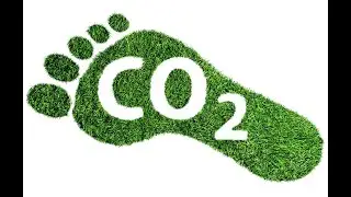 Green Living - Transform Your Life & Planet (4 Minutes)